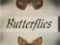 Butterflies title card.jpg