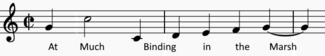 Much-binding-image.png