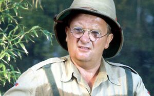 Don Estelle.jpg